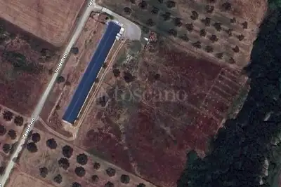 Capannone in vendita, Arlena di Castro, Arlena di Castro