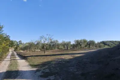 Agricolo in vendita, Localita' Bibbiano, Colle di Val d'Elsa
