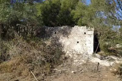 Agricolo in vendita, Noto, Noto