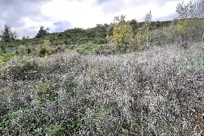 Agricolo in vendita, Via Cristoforo Colombo, Florinas
