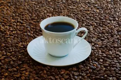 Attività Commerciale in vendita, Viale Italia, Lodi