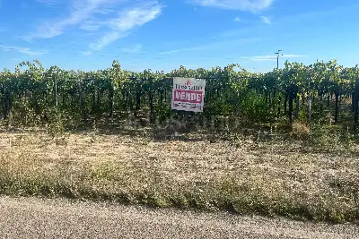 Agricolo in vendita, Strada Provinciale 62, Cerignola