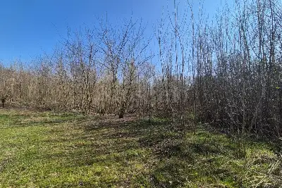 Agricolo in vendita, Via Sant'Agostino, Mariano Comense