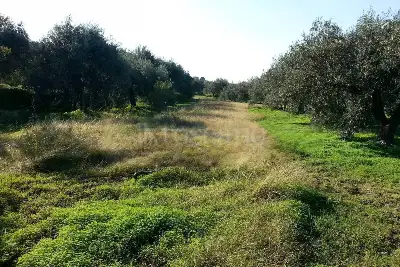 Rustico in vendita, Strada Provinciale 50, Messina