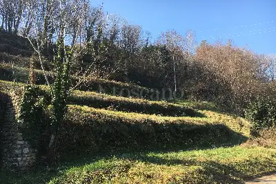Agricolo in vendita, Via della Conciliazione, Como