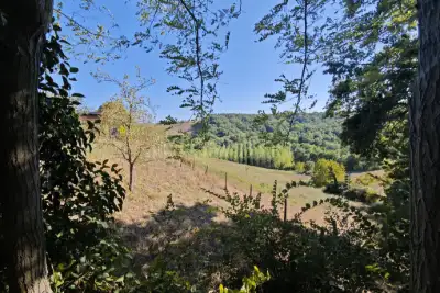 Agricolo in vendita, Localita' Bibbiano, Colle di Val d'Elsa