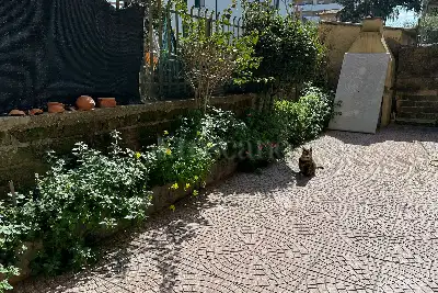 Casa in vendita, Via delle Spighe, Roma