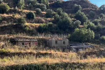 Agricolo in vendita, Via Provinciale per Armo-Gallina, Reggio di Calabria