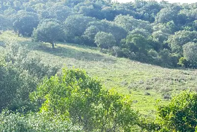 Agricolo in vendita, SANT'ANTONIO DI GALLURA , Sant'Antonio di Gallura