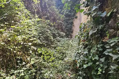 Casa Indipendente in vendita, Via Roma, Osilo