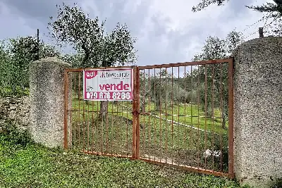 Agricolo in vendita, Strada Vicinale Taniga Baldella, Sennori