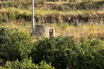 Agricolo in vendita, Via Provinciale per Armo-Gallina, Reggio di Calabria