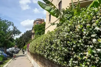 Cantina in affitto, Via dei Gracchi, Roma