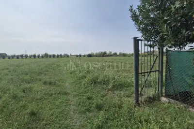 Agricolo in vendita, Via Pradossi, Borgosatollo