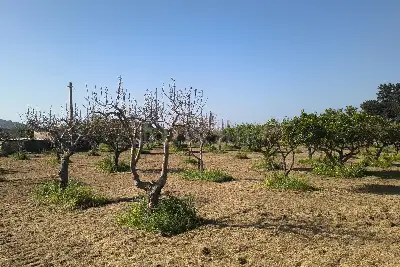 Agricolo in vendita, Via Emanuela, Erice