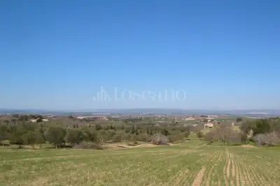 Casale in vendita, Contrada Triona, Noto