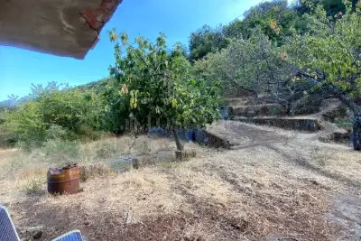 Casa Indipendente in vendita, Itala, Itala