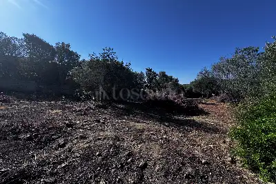 Edificabile Residenziali in vendita, Via Mar Egeo. Pittulongu, Olbia
