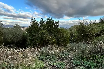 Agricolo in vendita, Via Cristoforo Colombo, Florinas