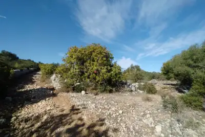 Agricolo in vendita, Noto, Noto