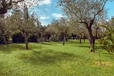 Villa in vendita, SP 291 Sassari - Fertilia , Sassari