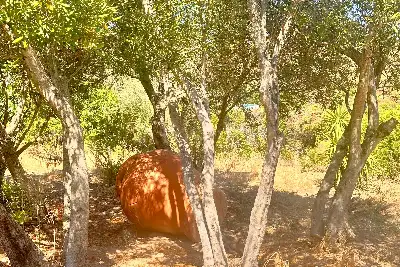 Villa in vendita, Milmeggiu, Portisco Olbia, Olbia