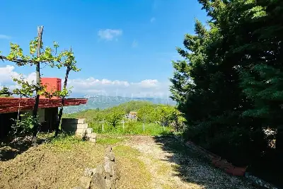 Agricolo in vendita, Via delle foreste, Manocalzati, Manocalzati