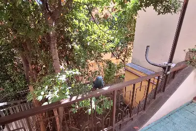 Casa in vendita, VIA LAURENTINA, Roma