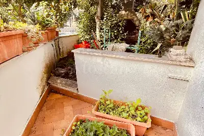 Villino a Schiera in affitto, Via Maffeo Vegio, Roma