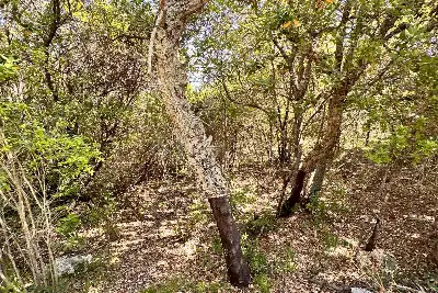 Agricolo in vendita, Telti via Monti Longu., Telti