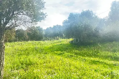 Edificabile Residenziali in vendita, Via Gallura snc, Montelittu, Loiri Porto San Paolo