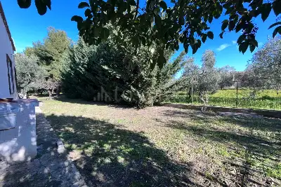 Villa Plurifamiliare in vendita, SP77, Cerignola