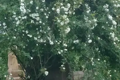 Villa in vendita, Borgo Carso, Latina