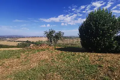 Casale in vendita, Località Resta, Buonconvento