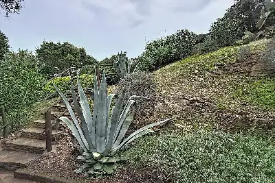 Villa Bifamiliare in vendita, Via Brigata Sassari 44, Stintino