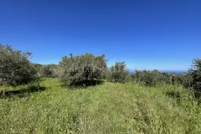 Rustico in vendita, Strada Provinciale 50, Messina