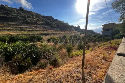 Agricolo in vendita, Via Provinciale per Armo-Gallina, Reggio di Calabria