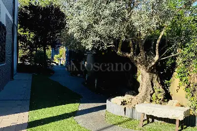 Villa in vendita, Viale di Castel Porziano, Roma
