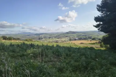 Agricolo in vendita, Contrada Martognella, Valderice