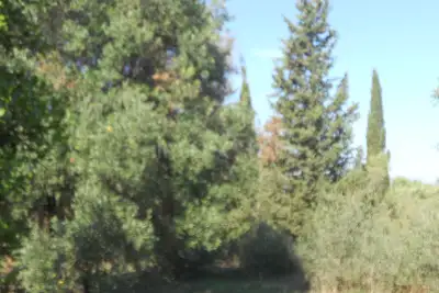 Edificabile Residenziali in vendita, Via Scalelle, Gallipoli