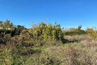 Agricolo in vendita, Via della storta, Roma