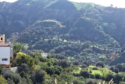 Agricolo in vendita, Pellaro, Reggio di Calabria