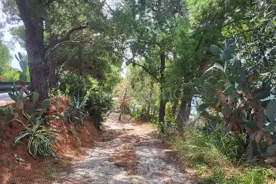 Agricolo in vendita, Località Vignole, San Mauro Cilento