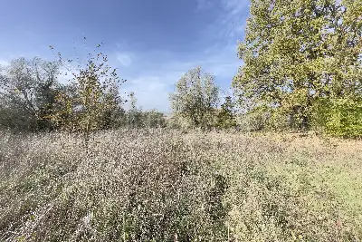 Agricolo in vendita, Frazione Grotte Santo Stefano - Viterbo, Viterbo