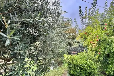 Villa in vendita, Via Nocelleto, Prata di Principato Ultra