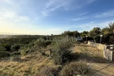 Agricolo in vendita, Strada Vicinale Logulentu Badde Tolta, Sassari