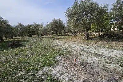 Edificabile Residenziali in vendita, Strada Vicinale Rizzeddu Gioscari 4, Sassari