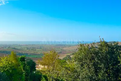 Agricolo in vendita, Via Furbara Sasso, Cerveteri