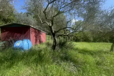 Agricolo in vendita, Strada Cassia Sud, Viterbo