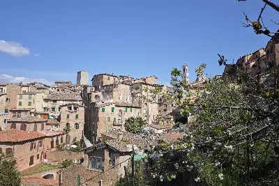 Casa in vendita, Via Franciosa, Siena